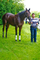 Itsmyluckyday and his groom