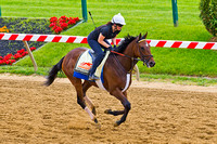 Departing gallops around the race track