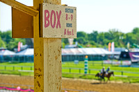 2013 Preakness Photo Blog - Day 3