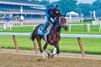 Filly Unlimited Budget gallops along the main track at Belmont P