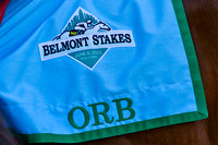 Orb's Belmont Stakes workout saddlecloth.