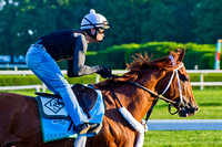 Golden Soul gallops at Belmont Park in preparation for the 145th