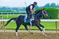 Revolutionary gallops along the main track at Belmont Park in pr