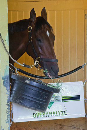 Overanalyze having a snack in his stall after morning workouts a
