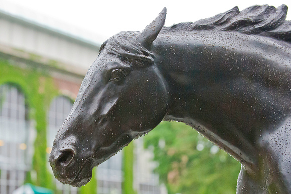 Rain soaked Secretariat statue in the Belmont Park paddock.