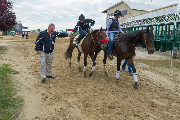 Preakness favorite Nyquist with exercise rider Jonny Garcia (center), gets a fist bump from "horse-bodyguard" Marvin Bostock (left) after  morning exercise at Pimlico Race Course in Baltimore, Marylan