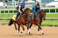Discreetness, trained by William "Jinx" Fires, gallops in preparation for the Kentucky Derby at Churchill Downs in Louisville, Kentucky.