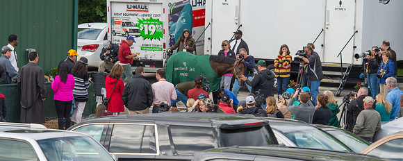 Preakness favorite Nyquist during his bath and surrounded by media, Pimlico employees and fans after morning exercise at Pimlico Race Course in Baltimore, Maryland.