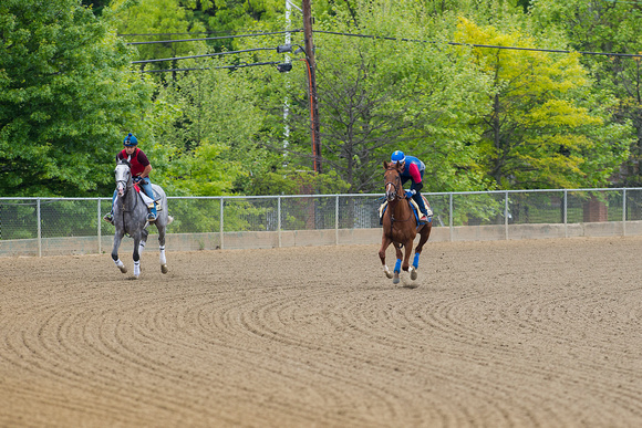 Preakness contenders Collected, trained by Bob Baffert and Cherry Wine, trained by Dale Romans, exercise at Pimlico Race Course in Baltimore, Maryland.