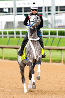 Creator, trained by Steve Asmussen, misbehaves while galloping in preparation for the Kentucky Derby at Churchill Downs in Louisville, Kentucky.