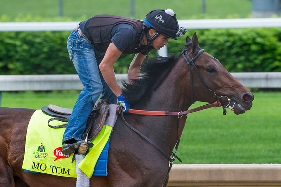 Mo Tom, trained by Tom Amoss, gallops in preparation for the Kentucky Derby in Louisville, Kentucky.