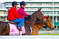 Kentucky Oaks 140 contender Kiss Moon being soothed as she is taken out to the track during training hours at Churchill Downs in Louisville, Kentucky.