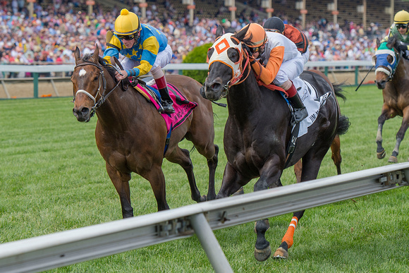 Ben's Cat (right), with Trevor McCarthy aboard, wins the Jim McKay Turf Sprint stakes for the fifth time in six tries for trainer King Leatherbury at Pimlico Race Course in Baltimore, Maryland.