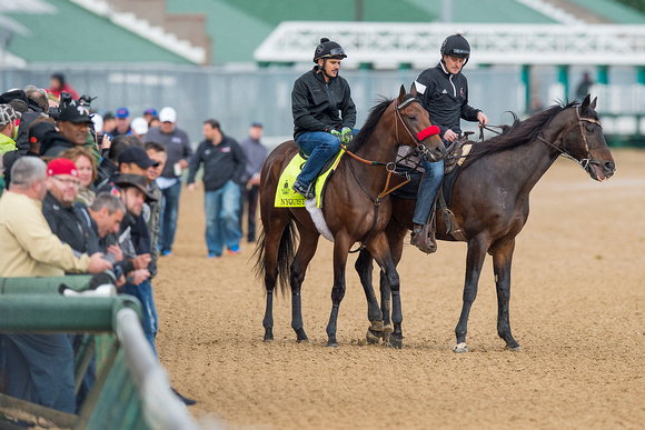 Nyquist, with regular exercise rider Jonny Garcia up, before starting morning exercise in preparation for the Kentucky Derby at Churchill Downs in Louisville, Kentucky.