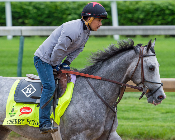 Cherry Wine, trained by Dale Romans, gallops in preparation for the Kentucky Derby in Louisville, Kentucky.