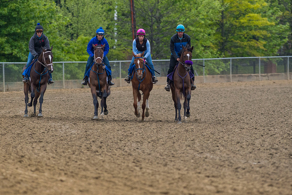 Scenes from morning workouts at Pimlico Race Course in Baltimore, Maryland.