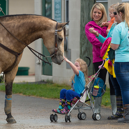 Smokey the Pony visits with a fan during morning workouts at Churchill Downs in Louisville, Kentucky.