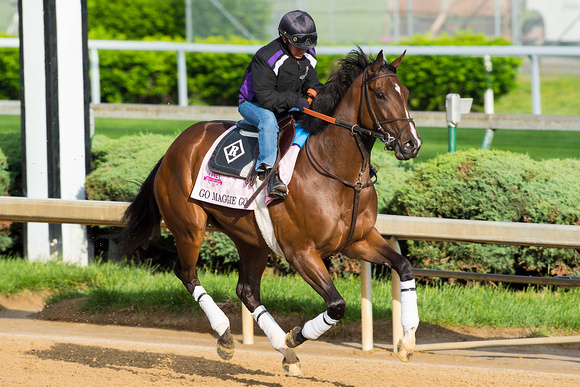 Go Maggie Go, trained by Dale Romans, gallops in preparation for the Kentucky Oaks at Churchill Downs in Louisville, Kentucky.