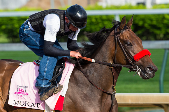 Mokat, trained by Richard Baltas, gallops in preparation for the Kentucky Oaks at Churchill Downs in Louisville, Kentucky.