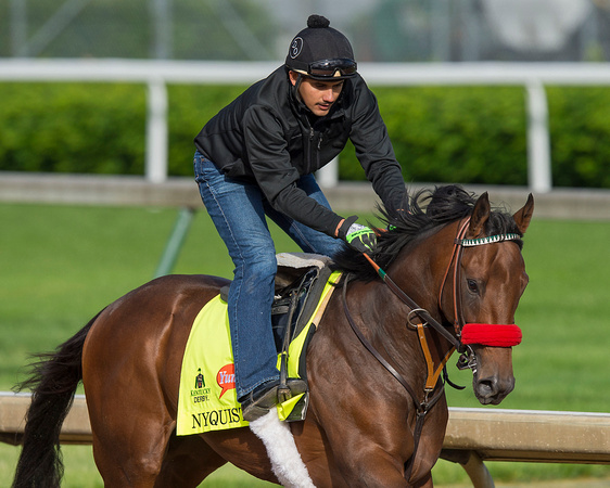 Nyquist, with regular exercise rider Jonny Garcia up, gallops in preparation for the Kentucky Derby at Churchill Downs in Louisville, Kentucky.
