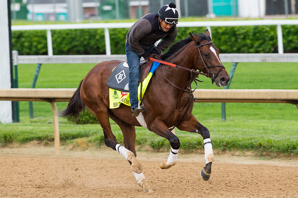 Kentucky Derby contender Brody's Cause, trained by Dale Romans, gallops during morning exercise at Churchill Downs in Louisville, Kentucky.