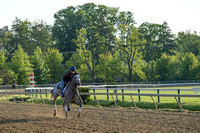 Preakness contender Cherry Wine, trained by Dale Romans, gallops at Pimlico Race Course in Baltimore, Maryland.
