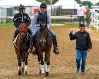 Preakness favorite, Nyquist with exercise rider Jonny Garcia (left), trained by Doug O'Neill, returns from morning exercise accompanied by Assistant Trainers Jack Sisterson (center) and Leandro Mora (