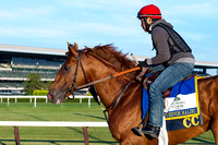 Belmont Stakes contender Governor Malibu, trained by Christophe Clement, jogs on the main track at Belmont Park in Elmont, New York.