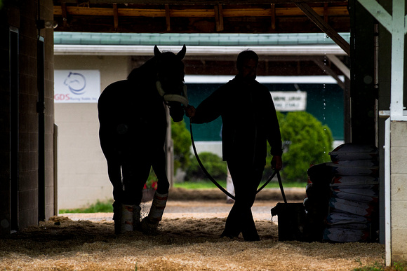 Trainer Doug O'Neill, walks Kentucky Derby favorite Nyquist under the shedrow after arriving from Keeneland Race Course.