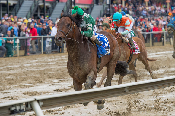 Always Sunshine, ridden by Frank Pennington, trained by Edward Allard, wins the GIII Sagamore Spirit Maryland Sprint Stakes at Pimlico Race Course in Baltimore, Maryland.