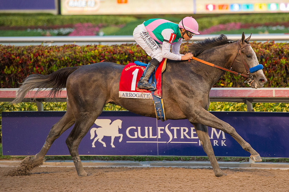 Arrogate and jockey Mike Smith win the 2017 Pegasus World Cup Invitational at Gulfstream Park.
