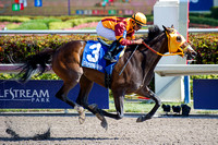 Curlin's Approval with Luis Saez up wins the 2017 Grade III Hurricane Bertie Stakes on the Pegasus World Cup Invitational card at Gulfstream Park in Hallandale Beach, Florida.