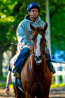 California Chrome heads to the race track for his final workout in preparation for the 136th Belmont Stakes and a possible Triple Crown at Belmont Park in New York.