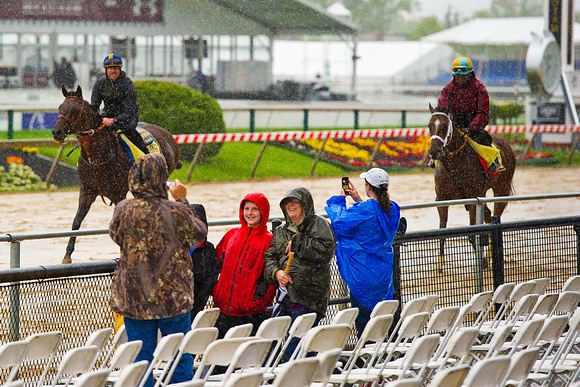 Fans take photos of Preakness contenders exercising in the rain at Pimlico Race Course in Baltimore, Maryland.