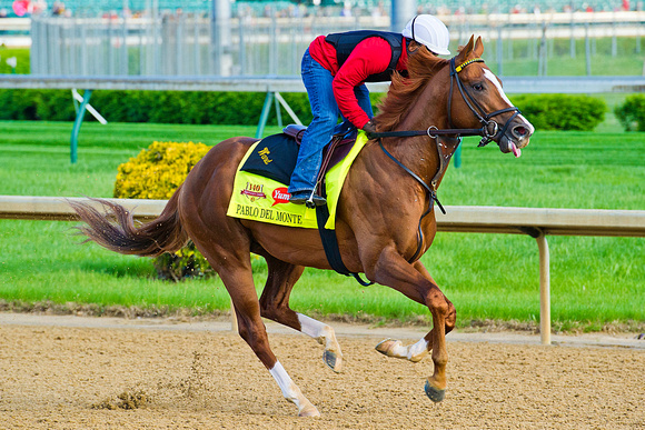 Pablo Del Monte gallops in preparation for the 140th Kentucky Derby.