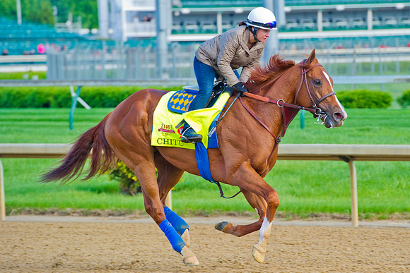 Chitu galloped 1 & 1/2 miles in preparation for the 140th Kentucky Derby.