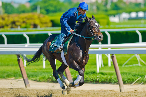 Matusak gallops in preparation for the 146th Belmont Stakes at Belmont Park in New York.