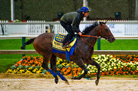 Bayern gallops in preparation for the 139th Preakness Stakes at Pimlico Race Course in Baltimore, Maryland.