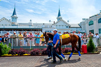 Bodemeister schools in the paddock at Churchill Downs in prepara
