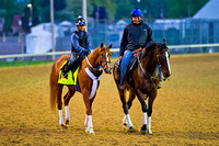 Tapiture (left) is escorted by trainer Steve Asmussen (right) at Churchill Downs for his daily preparation for the 140th Kentucky Derby.