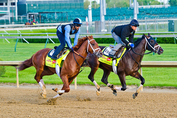 Vinceremos and Danza work together on the main track in preparation for the 140th Kentucky Derby at Churchill Downs in Louisville, Kentucky.