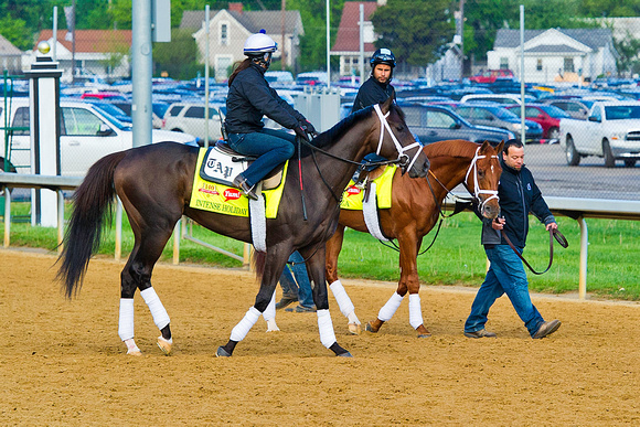 Intense Holiday and Danza head out for exercise in preparation for the 140th Kentucky Derby.