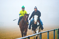 Kid Cruz, who won the Federico Tesio at Laurel to earn a Preakness spot, returns from a jog in heavy fog at Pimlico Race Course in Baltimore, Maryland.