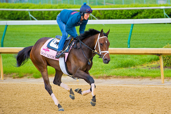 Got Lucky galloped one and a half miles in preparation for the 140th Kentucky Oaks at Churchill Downs in Louisville, Kentucky.