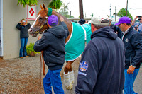 California Chrome heads into his new home at Churchill Downs to prepare for the 140th Kentucky Derby.