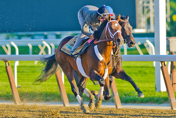 Commanding Curve breezed 4 furlongs over the Belmont Park main track in preparation for the 146th Belmont Stakes.