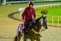 Churchill Downs outrider Greg Blasi strolls around the sloppy track during a major rain storm.