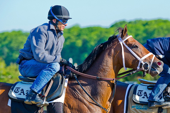 Matterhorn prepares for the 146th Belmont Stakes on the Belmont Park training track.