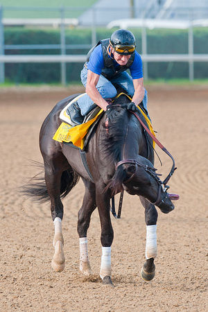 Take Charge Indy plays with Calvin Borel