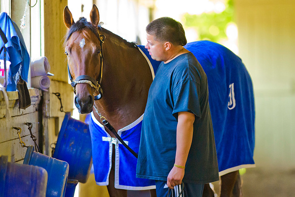 Belmont Stakes 146 contender Wicked Strong walks shedrow with his groom Francisco Ugarte at Belmont Park in New York.